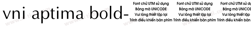 vni aptima bold字体转换